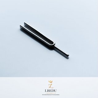 LBEDU 音叉聲頻振動保健療法興趣班