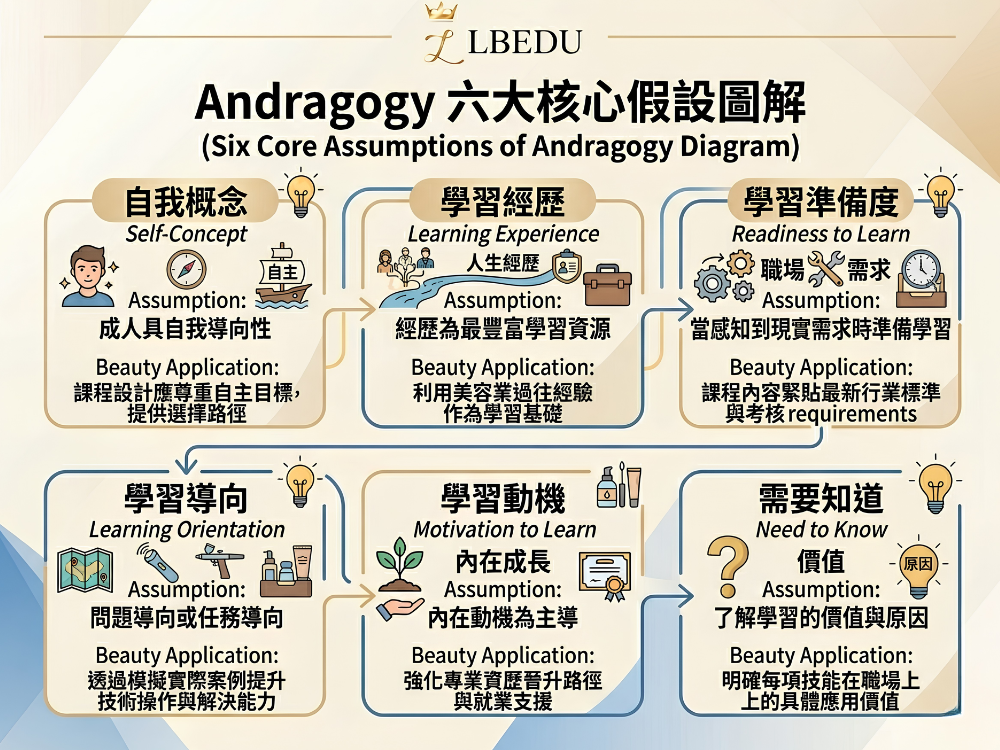 Andragogy 六大核心假設圖解 – 圖解馬可姆・諾爾斯（Malcolm Knowles）提出的成人學習學六大核心假設：自我概念、學習經歷、學習準備度、學習導向、學習動機、學習環境，對應美容業資歷培訓的設計原則。