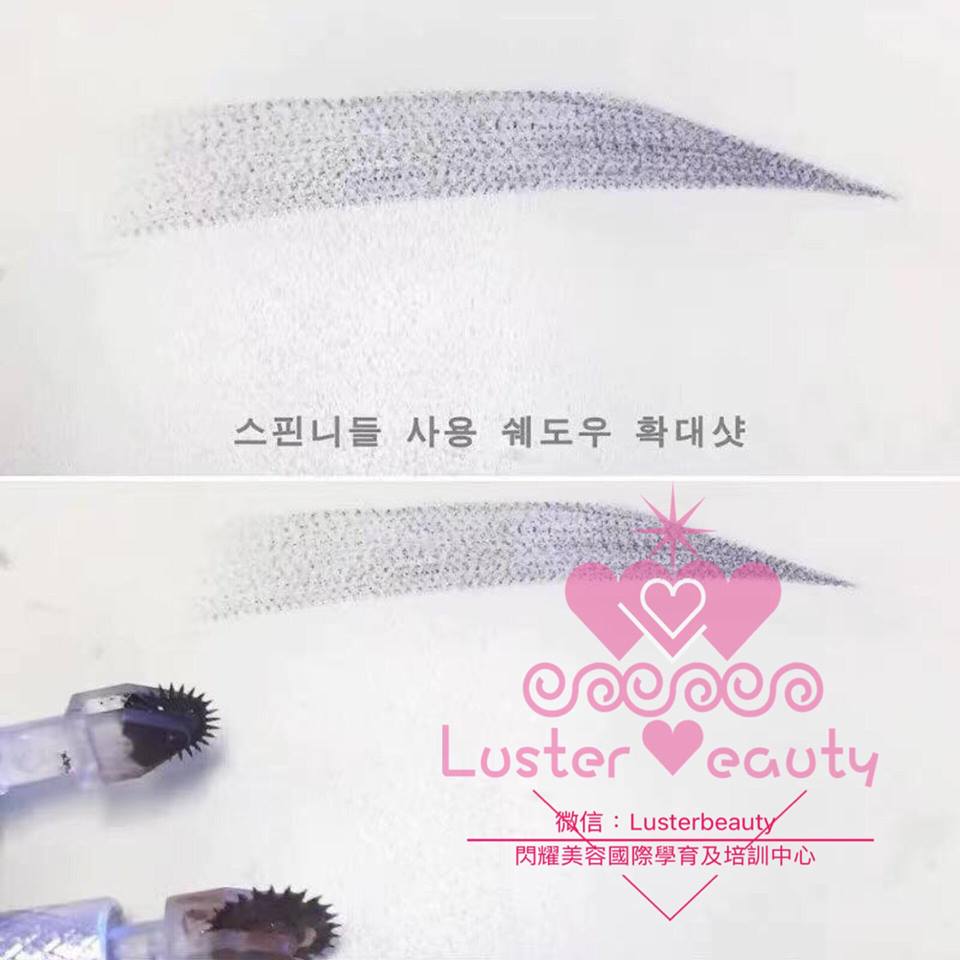 USA Biotouch Representative Asia Joey Semi Permanent Makeup course 5 KOREA PMU FACTORY SPINNEEDLE MICROBLADING OMBRE 0_07 0_10MM 3.jpg